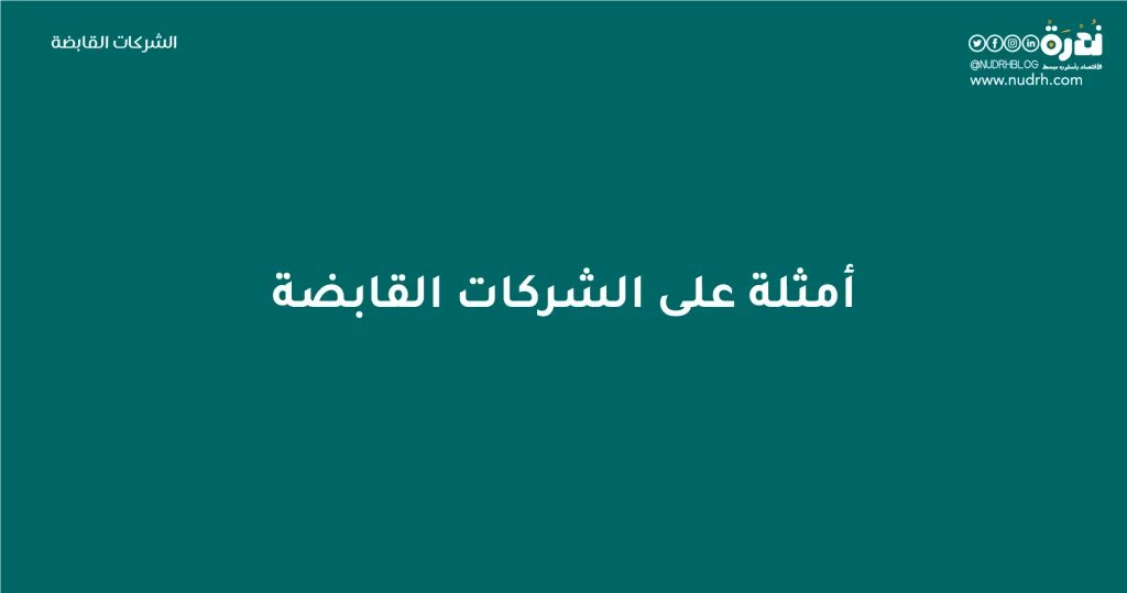 الشركات القابضة | بين التنظيم الذكي ومخاوف النفوذ الاقتصادي 7 أمثلة على الشركات القابضة