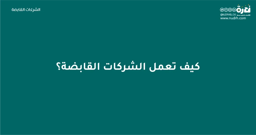 الشركات القابضة | بين التنظيم الذكي ومخاوف النفوذ الاقتصادي 3 كيف تعمل الشركات القابضة؟