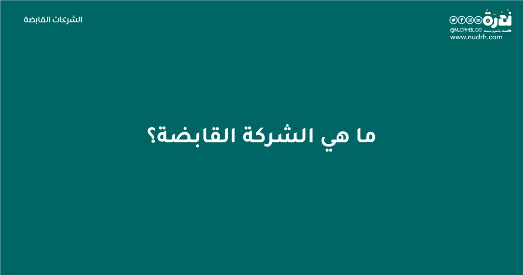 الشركات القابضة | بين التنظيم الذكي ومخاوف النفوذ الاقتصادي 2 ما هي الشركة القابضة؟